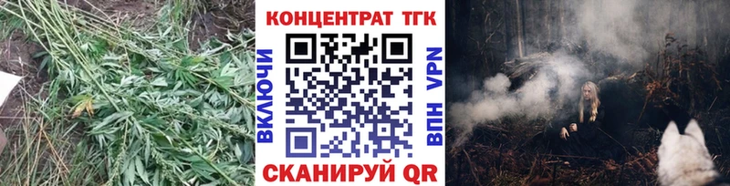 ТГК концентрат  Купить закладки  Неман 