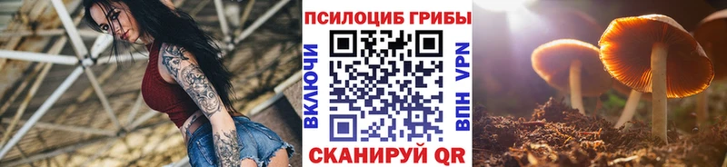 Купить закладки  Неман  Псилоцибиновые грибы ЛСД 